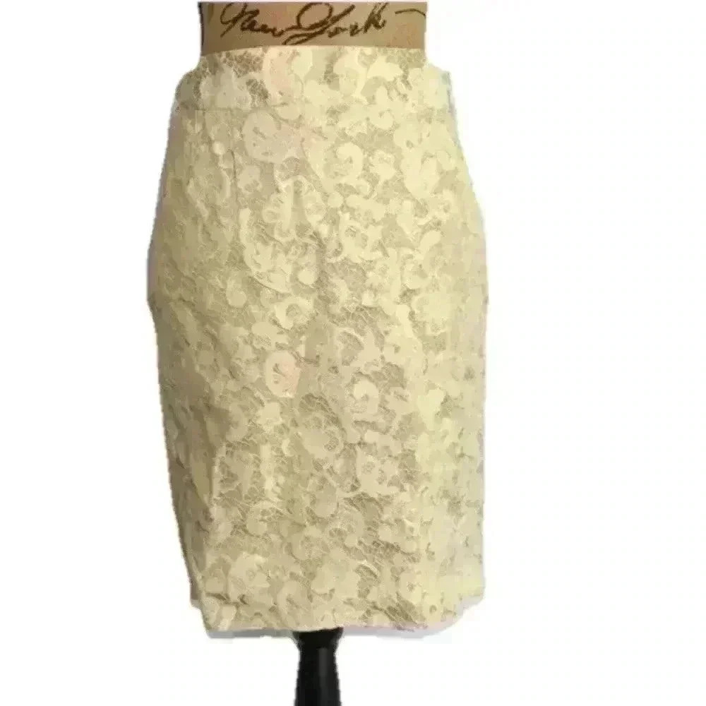 Banana Republic Lace Skirt